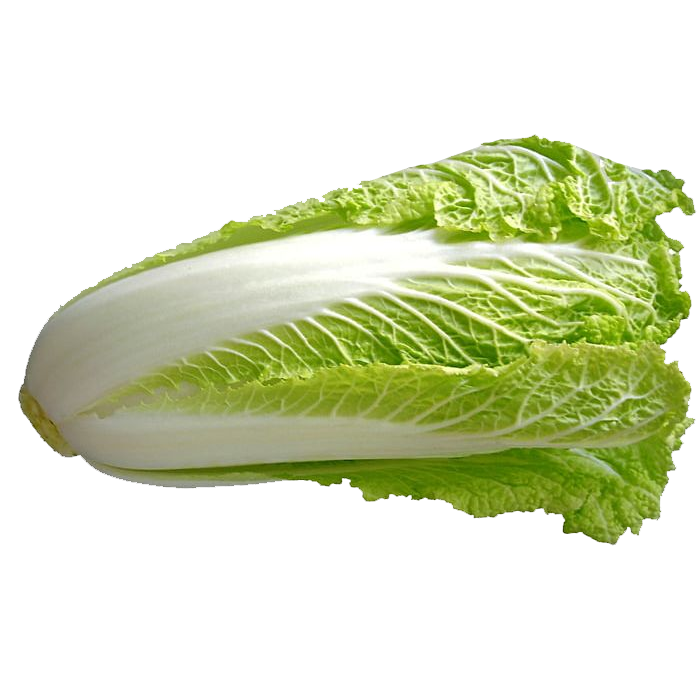 Ooty Chinese Cabbage