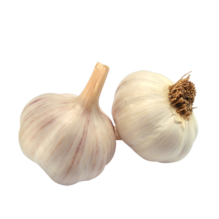 Ooty Hill garlic