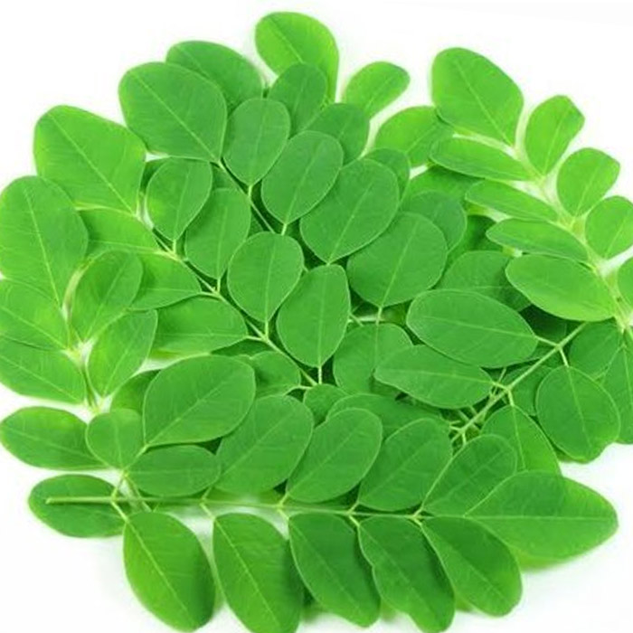 Muringa leaf 