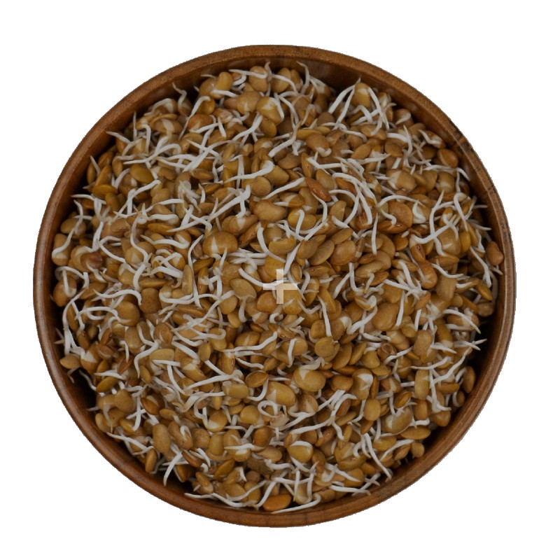 Horsegram Sprouts