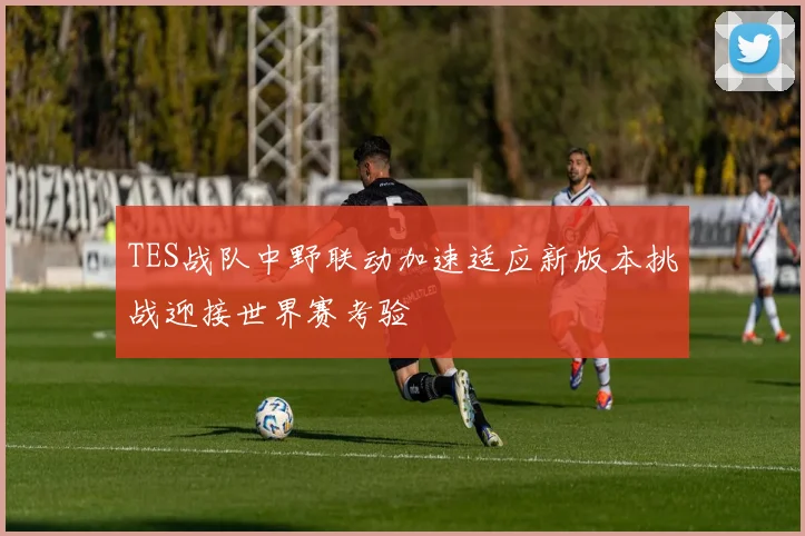 TES战队中野联动加速适应新版本挑战迎接世界赛考验