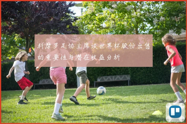 科摩罗足协主席谈世界杯股份出售的重要性与潜在收益分析